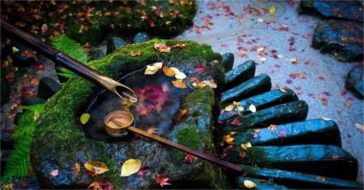 1676561671171051.jpg 4.jpg