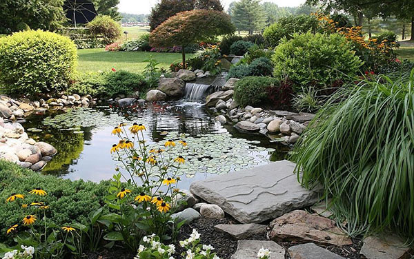 1676562327892517.jpg 1.jpg